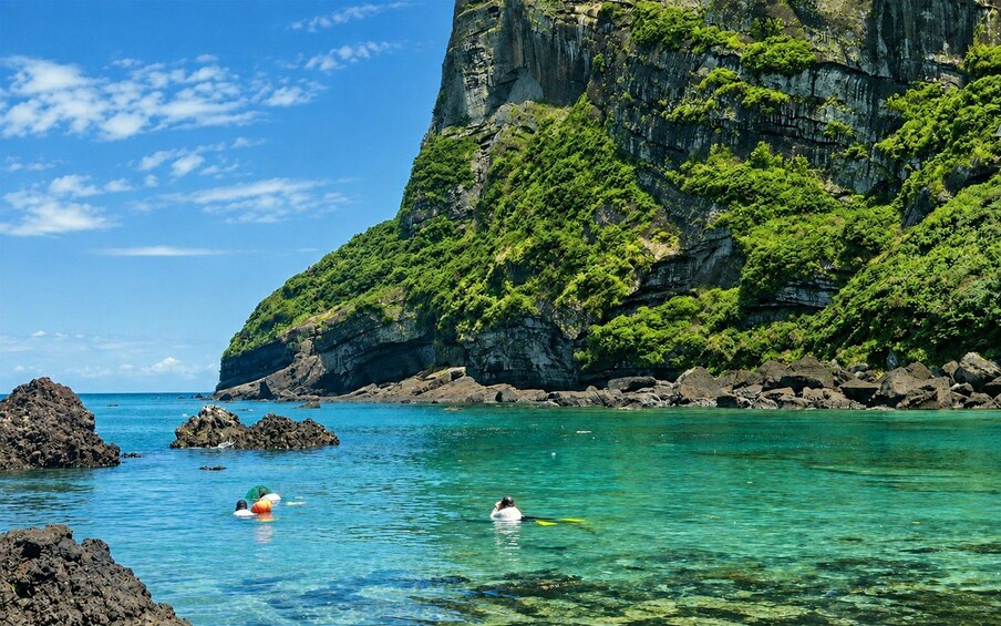 Picture 11 for Activity Jeju: Round-Island Grand Highlights Small Group Hotel Pickup 4