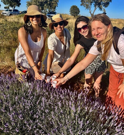 Picture 10 for Activity Excursion to Brihuega and the Lavender Fields 3