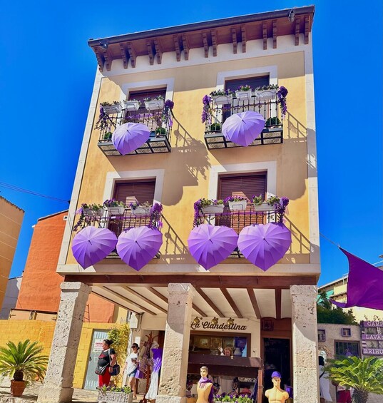 Picture 8 for Activity Excursion to Brihuega and the Lavender Fields 5