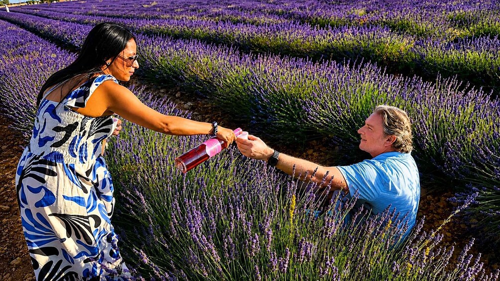 Excursion to Brihuega and the Lavender Fields 1