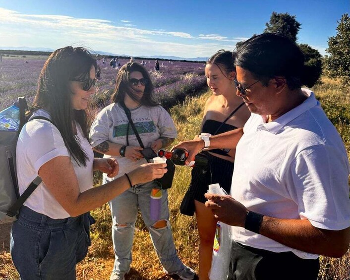 Picture 3 for Activity Excursion to Brihuega and the Lavender Fields 4