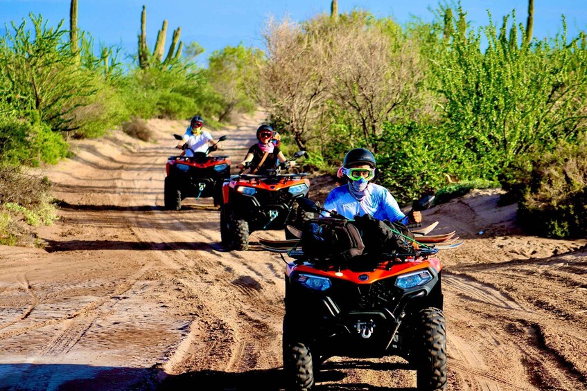 Picture 8 for Activity La Paz: ATV quad + sandboarding on the Mogote dunes 3