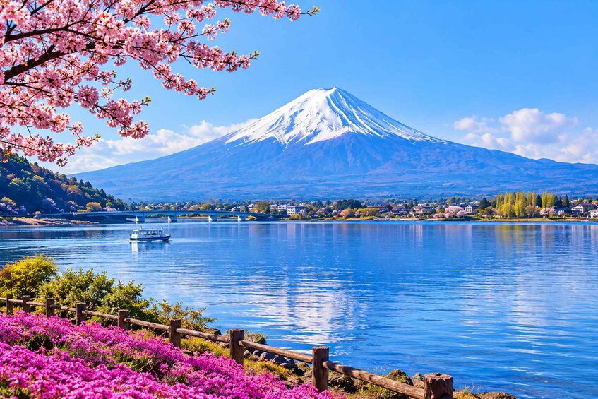 Picture 16 for Activity Mt.Fuji customizable private tour with English guide 3