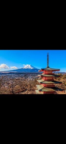 Mt.Fuji luxury chauffeurs, lake Kawaguchiko and hidden gems 1