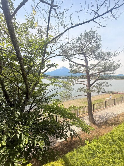 Picture 10 for Activity The Ultimate Fuji Heritage & Nature Expedition and Lakes 2