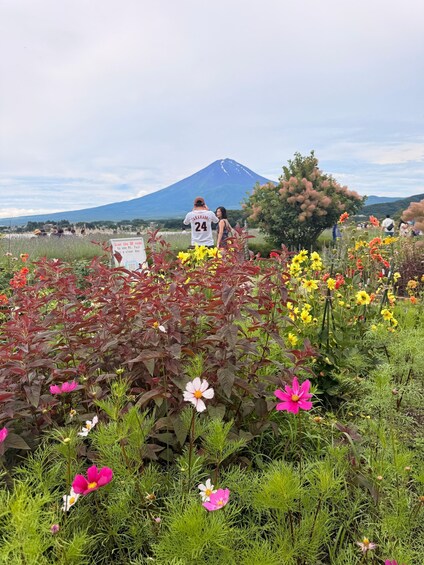 The Ultimate Fuji Heritage & Nature Expedition and Lakes 1