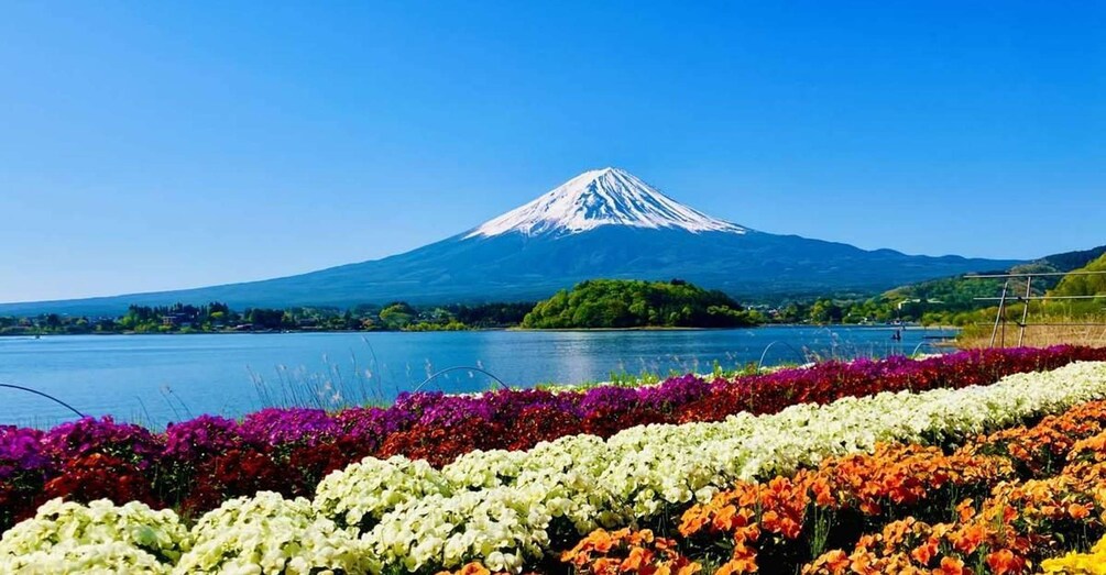Picture 3 for Activity Mt.Fuji luxury chauffeurs, lake Kawaguchiko and hidden gems 4