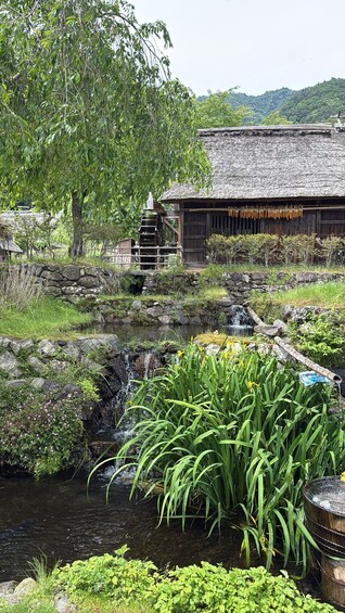 Picture 9 for Activity The Ultimate Fuji Heritage & Nature Expedition and Lakes 4