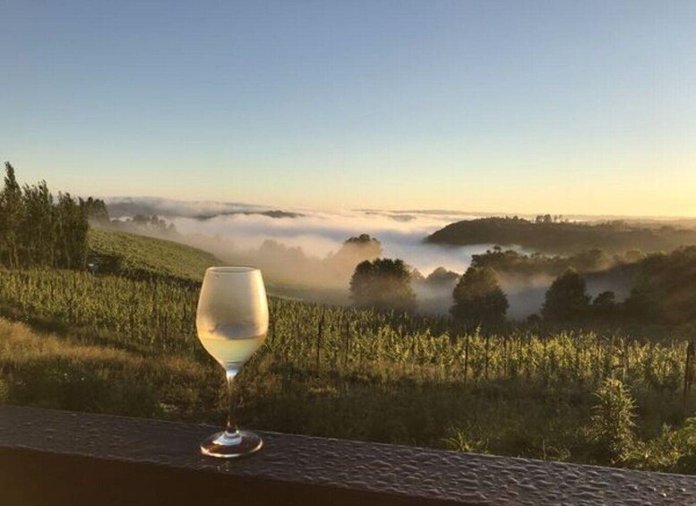 Picture 1 for Activity From Gramado: Geisse Tasting, Ostara Lunch, and Terroir Wines 4