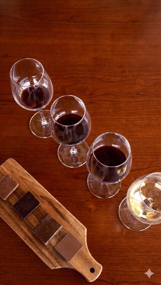 Gigondas: Tour of the winery and wine and chocolate pairings 4