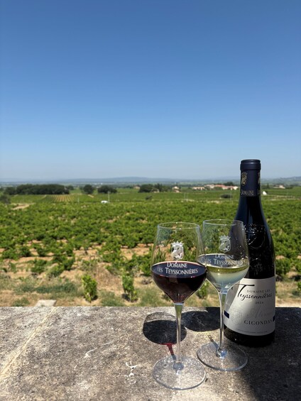 Picture 4 for Activity Gigondas: Tour of the winery and wine and chocolate pairings 5