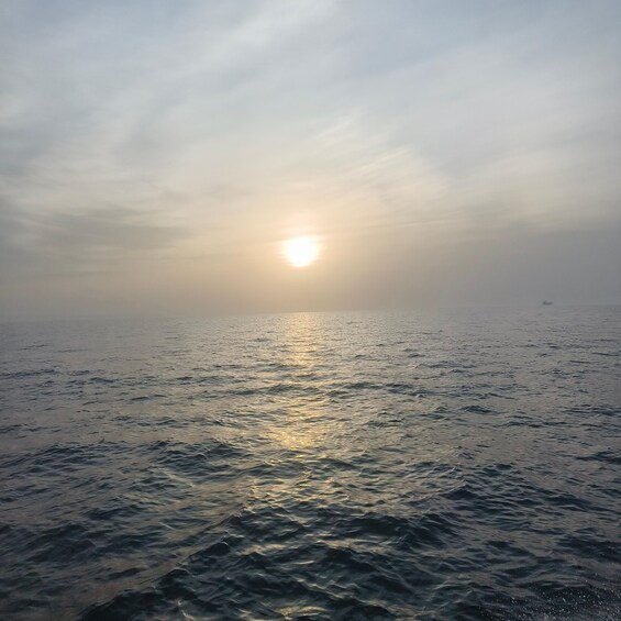 A calm sea with sunlight reflecting off the water's surface and a boat in the distance. 4