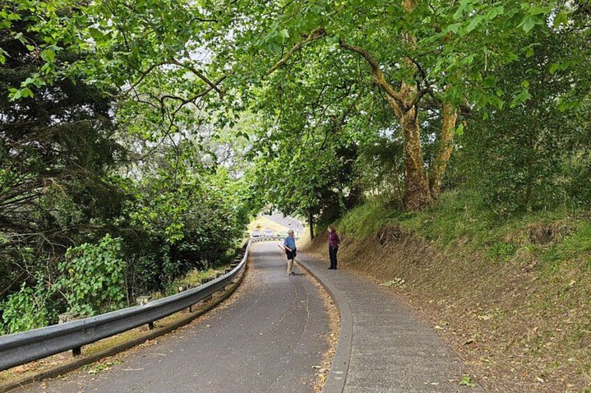 Auckland Uncovered Private 4 Hour Tour 5