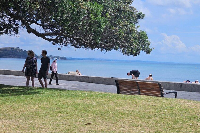 Auckland Uncovered Private 4 Hour Tour 2