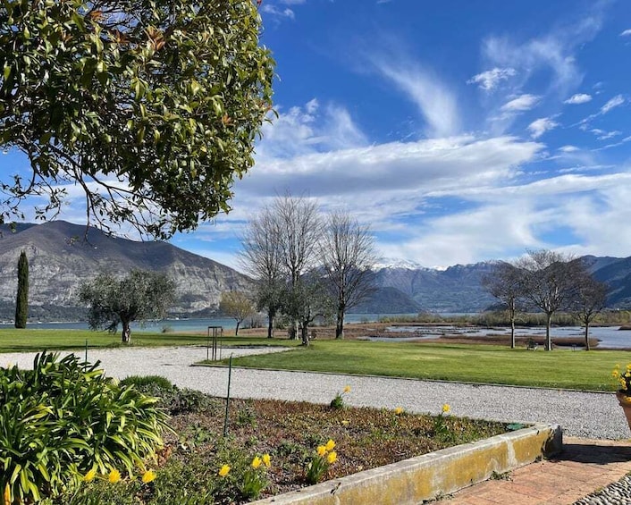 Picture 8 for Activity Iseo: Market Tour, Cooking Class, and Lakeside View 3