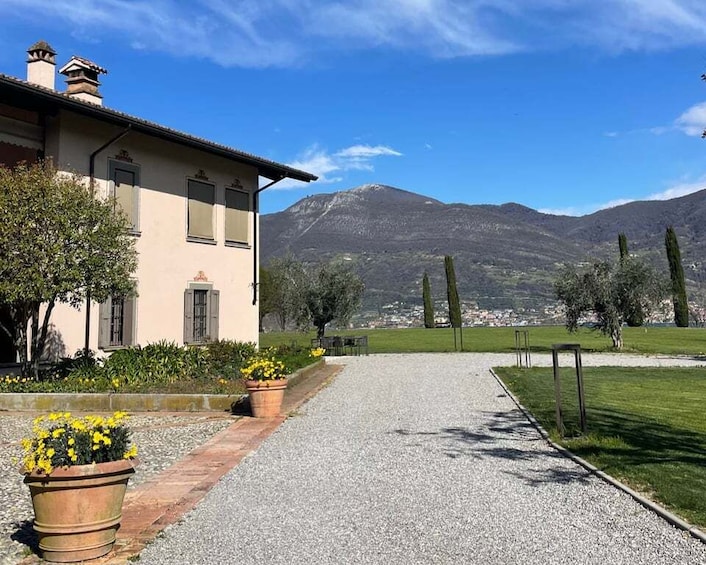 Picture 6 for Activity Iseo: Market Tour, Cooking Class, and Lakeside View 2