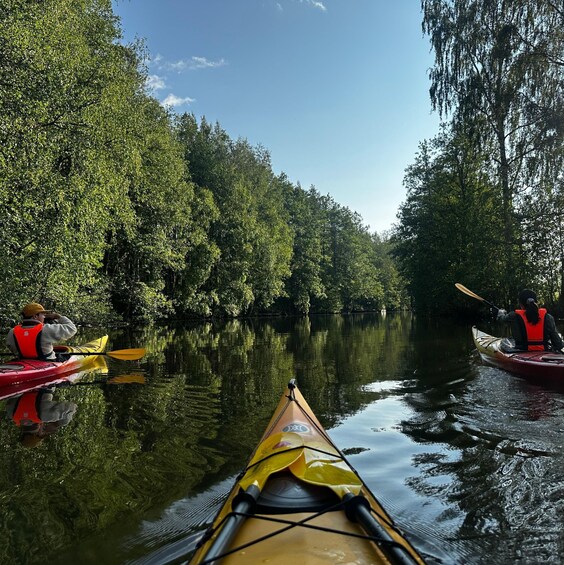 Picture 3 for Activity Loviisa: Strömfors River Guided Kayak or Canoe Tour 5