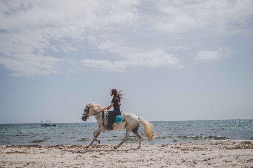 Picture 3 for Activity Waiheke Island: Beach Horseback Riding Experience 3