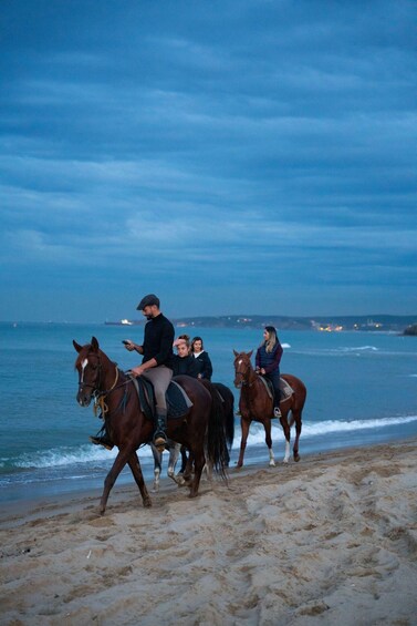 Picture 1 for Activity Waiheke Island: Beach Horseback Riding Experience 4