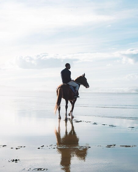 Picture 4 for Activity Waiheke Island: Beach Horseback Riding Experience 5
