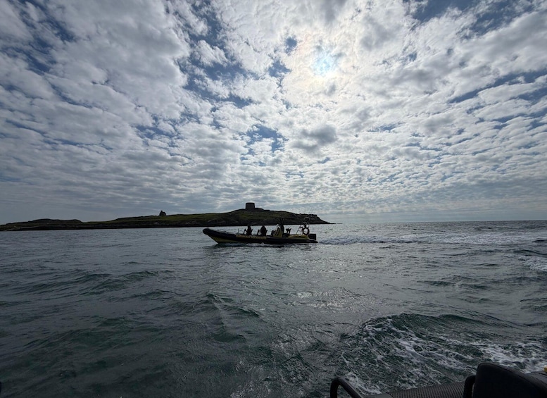 Picture 6 for Activity Dún Laoghaire: Guided Sea Safari to Bray Head. 3