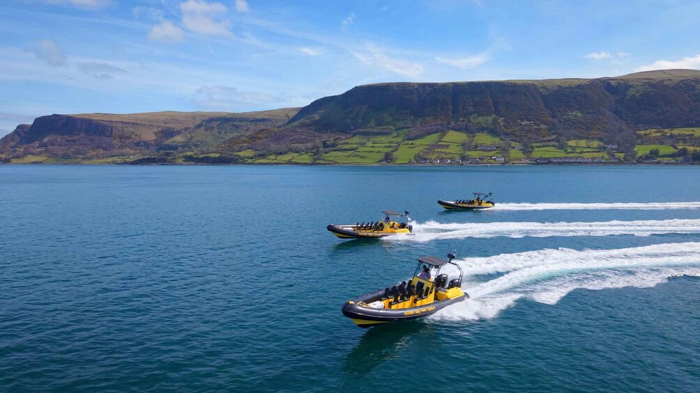 Picture 1 for Activity Dún Laoghaire: Guided Sea Safari to Bray Head. 4