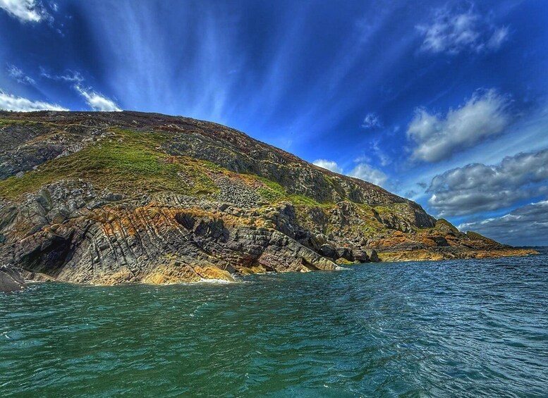 Picture 3 for Activity Dún Laoghaire: Guided Sea Safari to Bray Head. 5