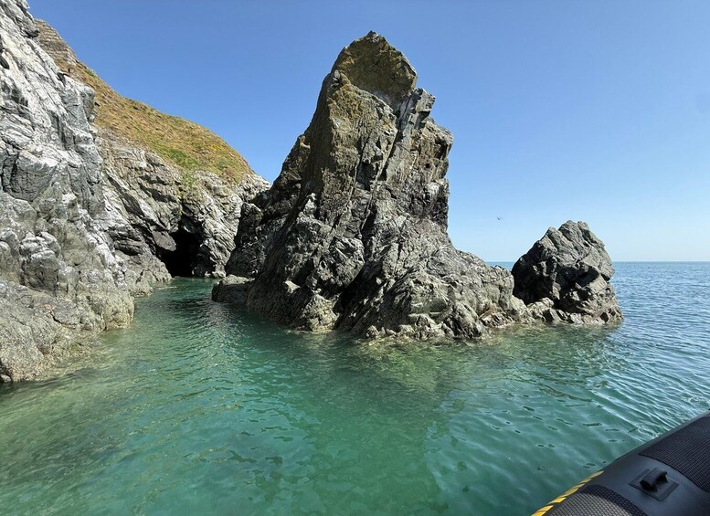 Picture 2 for Activity Dún Laoghaire: Guided Sea Safari to Bray Head. 5
