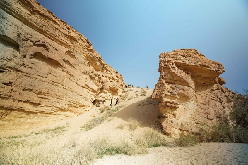 Picture 8 for Activity King Khalid Royal Reserve - Hiking at Thumama Falaq Trail 3