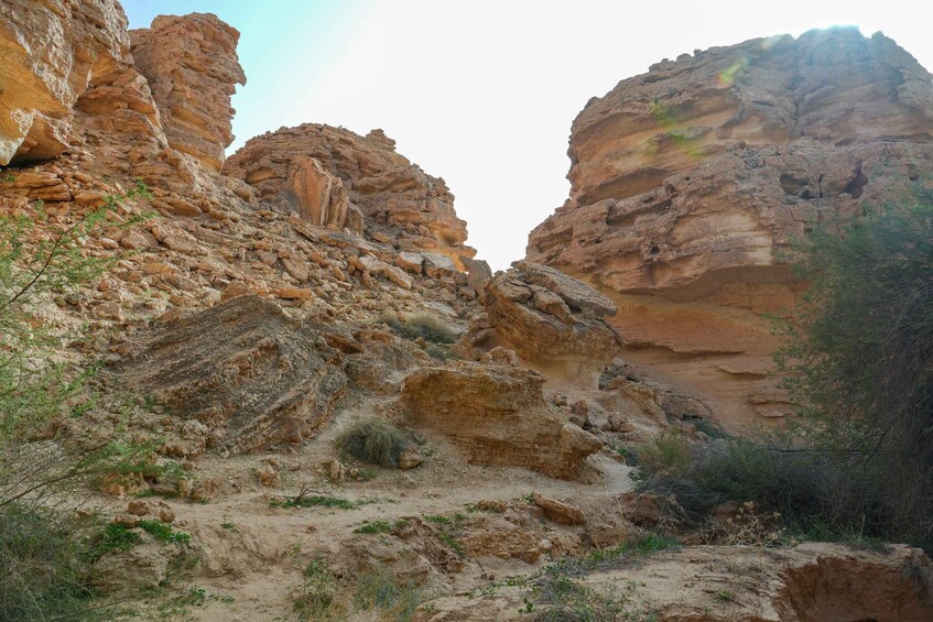 Picture 22 for Activity King Khalid Royal Reserve - Hiking at Thumama Falaq Trail 5