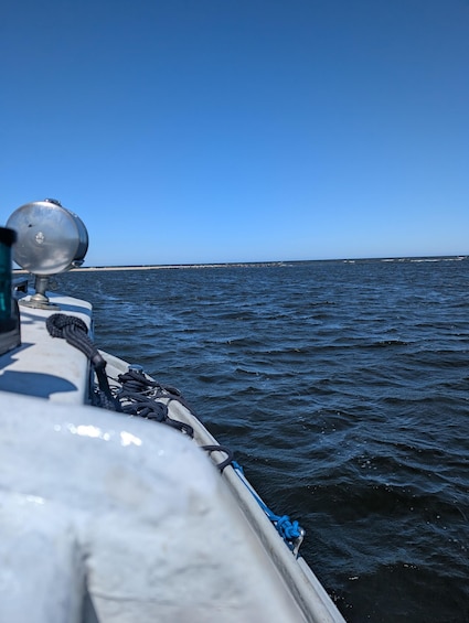 Picture 1 for Activity Gdańsk: Seal Watching Boat Tour from Sobieszewo 4