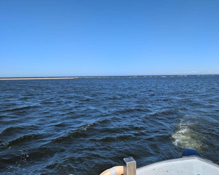 Picture 4 for Activity Gdańsk: Seal Watching Boat Tour from Sobieszewo 5