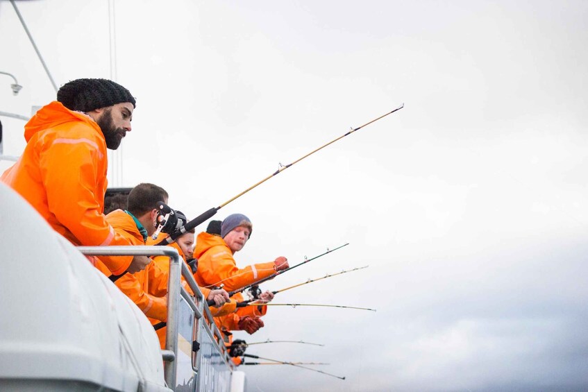 Picture 4 for Activity Sunset Fishing in Faxaflói Bay: 2.5-3 Hour Excursion 3