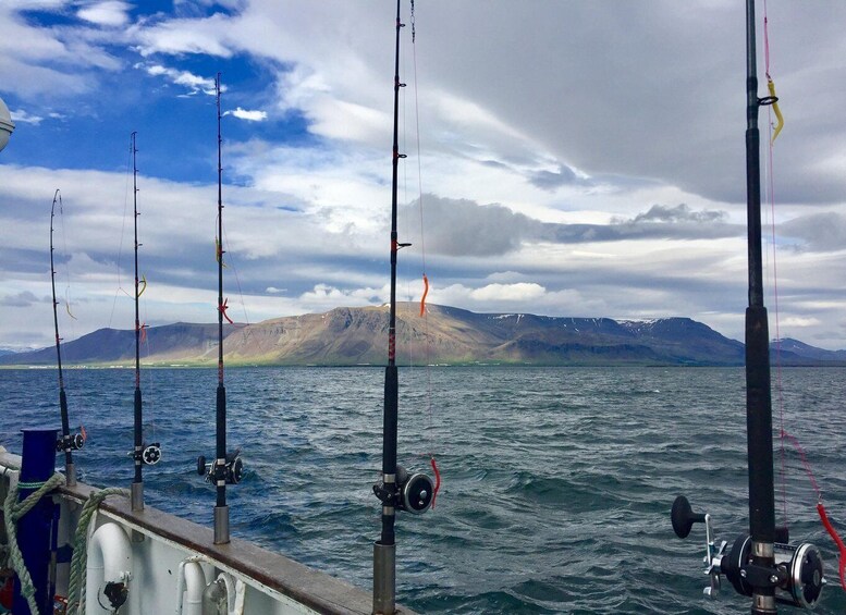 Sunset Fishing in Faxaflói Bay: 2.5-3 Hour Excursion 1