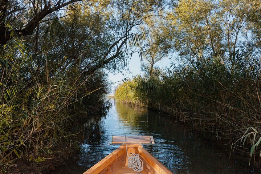 Picture 3 for Activity Intimate Skadar Lake Cruise | Small Group Experience 3
