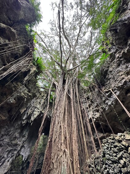 Okinawa Driving Tour with Expert Local Guide 1