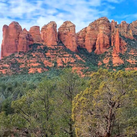 Picture 4 for Activity From Phoenix: Sedona Day Tour with Wine Tasting & Montezuma 3