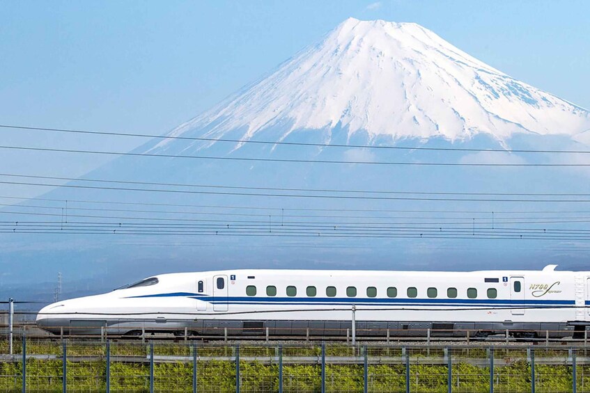 Tokyo: Bullet Train to Mishima with Guided City Tour 1