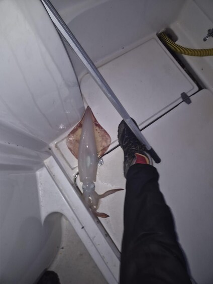 Picture 2 for Activity Fishing charter in Capo Mele and Andora: Relaxation, Fun and Pure Adrenaline 5