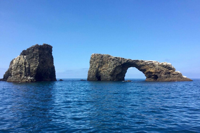 Picture 1 for Activity From Orange County: Channel Islands Private Day Tour 2