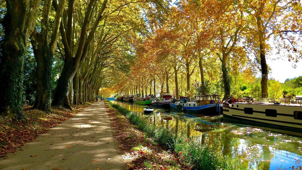 A tree-lined canal with boats docked along the water. 5