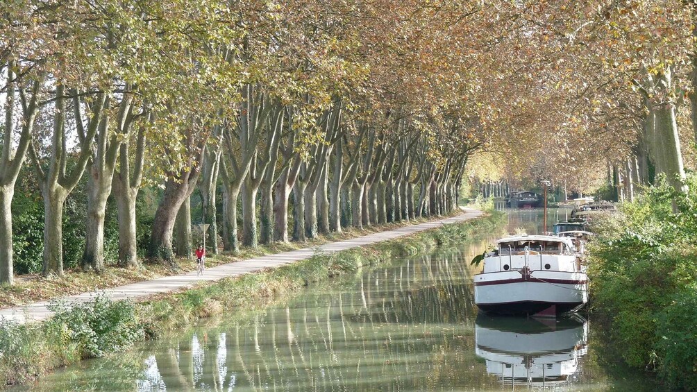A narrow waterway flanked by tall trees with a boat docked on the right. 3