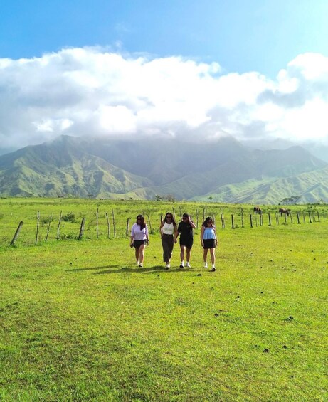 Picture 1 for Activity Bukidnon: Dahilayan and Impasug-ong Day Tour 3