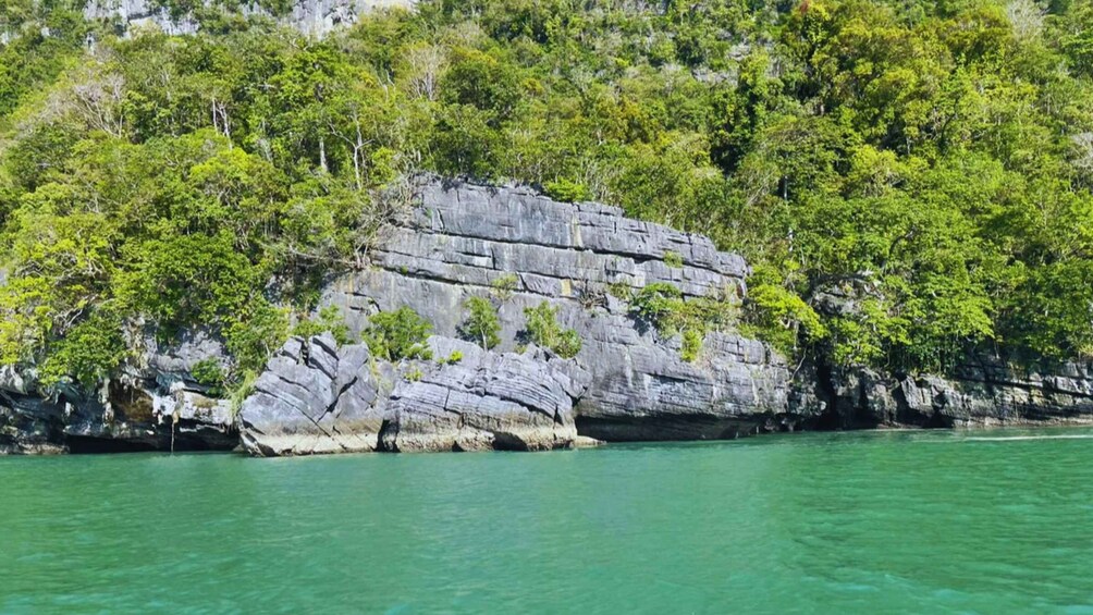 Picture 3 for Activity Langkawi: Kilim Geoforest Mangrove 2-Hour Jetski Tour 3