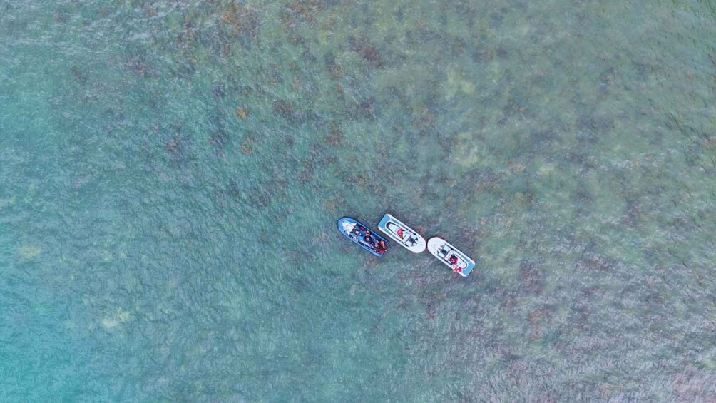 Picture 3 for Activity Langkawi: Kilim Mangrove + Snorkeling Jetski Tour 4