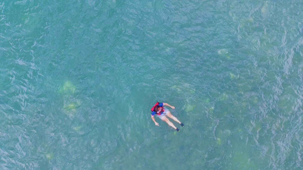 Picture 13 for Activity Langkawi: Kilim Mangrove + Snorkeling Jetski Tour 5
