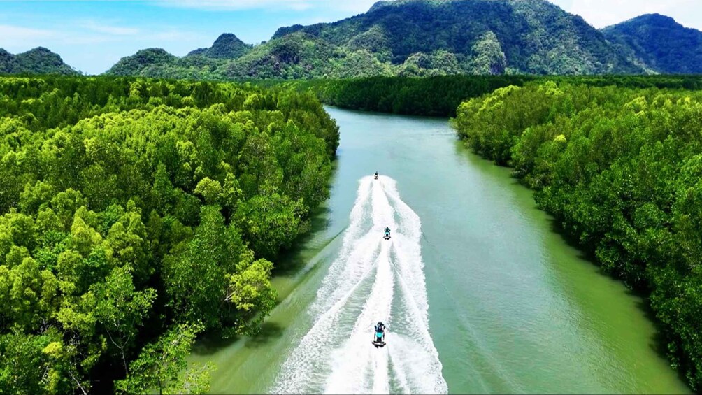 Langkawi: Kilim Geoforest Mangrove 2-Hour Jetski Tour 1