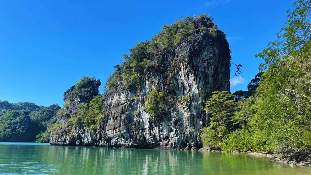 Picture 4 for Activity Langkawi: Kilim Geoforest Mangrove 2-Hour Jetski Tour 2