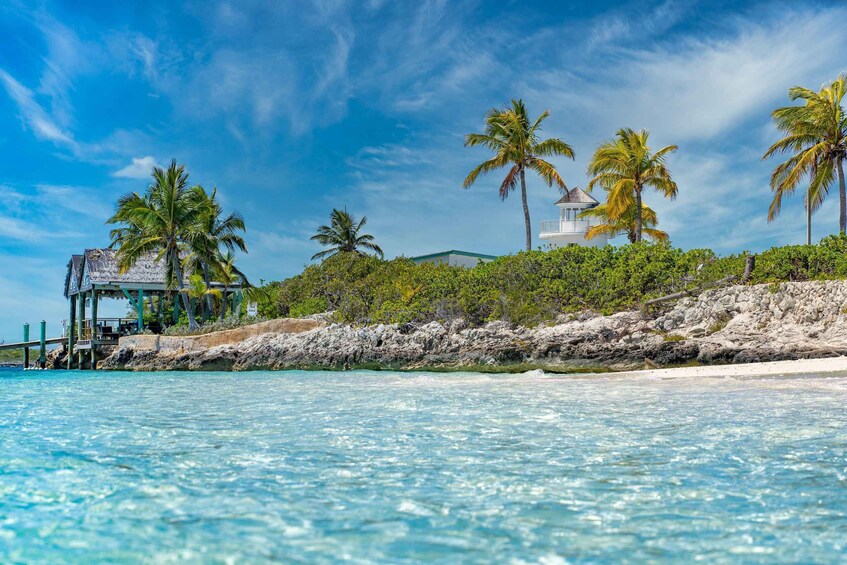 Picture 8 for Activity Nassau: Swimming Pigs Express – Meet & Feed the Famous Pigs 4