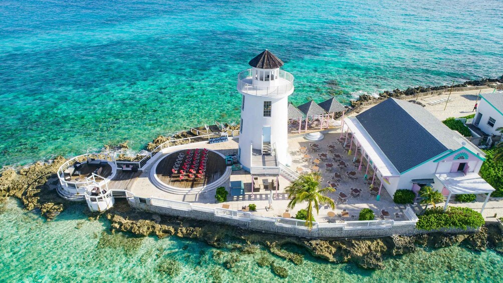 Picture 17 for Activity Nassau: Swimming Pigs Express – Meet & Feed the Famous Pigs 3